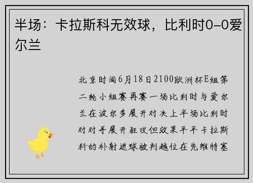 半场：卡拉斯科无效球，比利时0-0爱尔兰