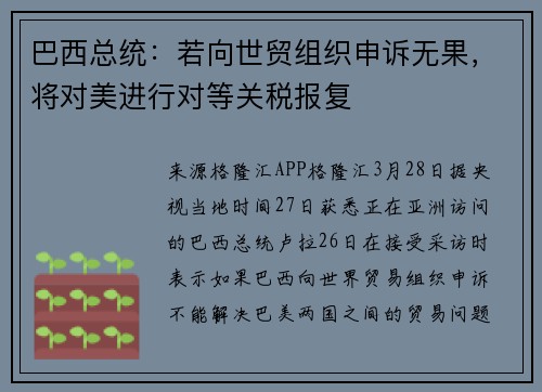 巴西总统：若向世贸组织申诉无果，将对美进行对等关税报复